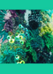 Jewelled Moss Embroidery Workshop With Amy Jones