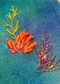 Rainbow Coral Embroidery Workshop With Amy Jones: Create Vibrant, Textured Coral Art