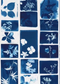 Kids Cyanotype (Sun Printing) Workshop 8 to 12 years