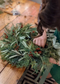 Australian Native Christmas Wreath Workshop – Sydney Festive Floristry Class with Blume Flower School