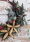 Australian Native Christmas Wreath Workshop – Sydney Festive Floristry Class with Blume Flower School