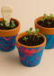 Kids Painted Pots Workshop: Create 3 Terracotta Planters + Start a Spring Garden