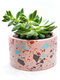 Terrazzo Homewares Workshop