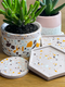 Terrazzo Homewares Workshop