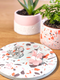 Terrazzo Homewares Workshop