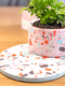 Terrazzo Homewares Workshop